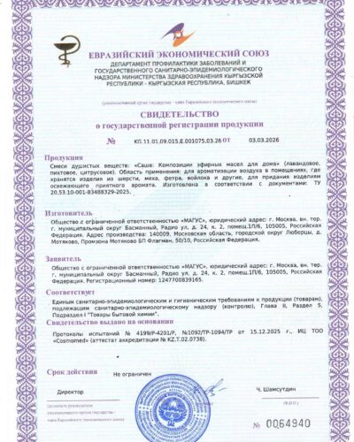 СГР ОсОО Магус Саше